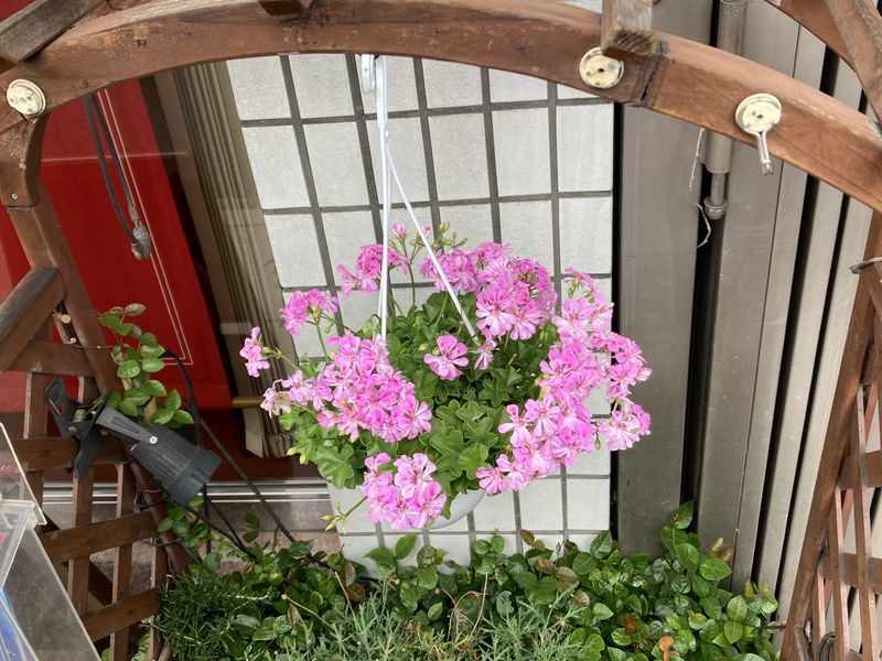 IMG_2584.jpeg